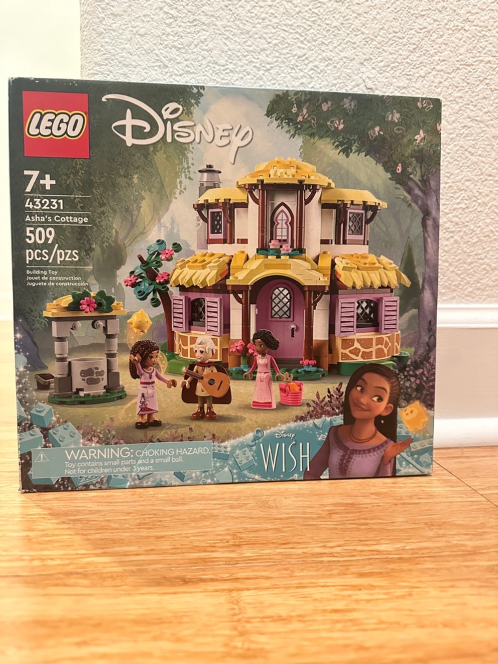 LEGO Disney Asha's Cottage - Pink and Yellow Build Set